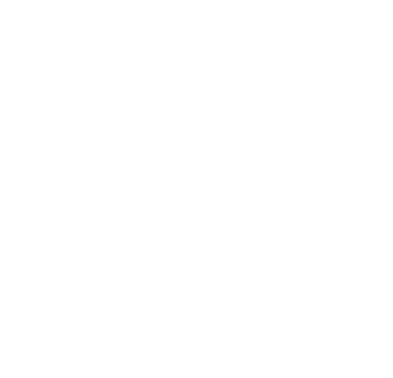 Logo Footer